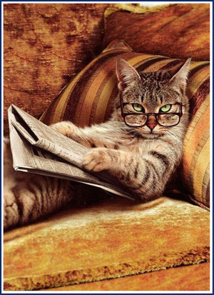 Cat-Reading-Paper